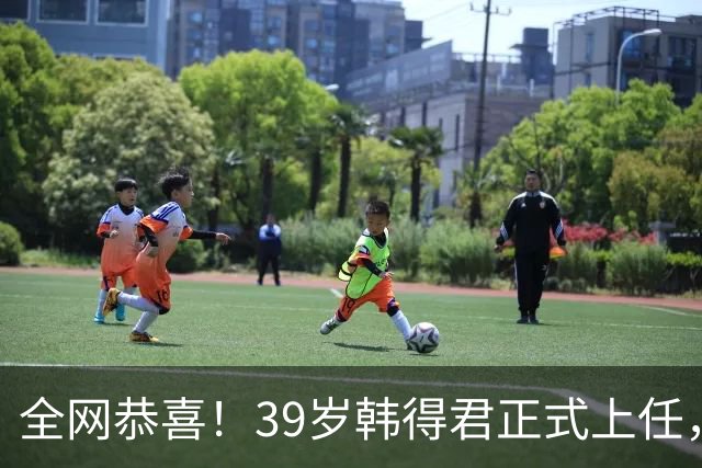 全网恭喜！39岁韩得君正式上任，职务不一般，副会长杨鸣立了大功
